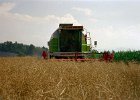 Claas Drescher 25